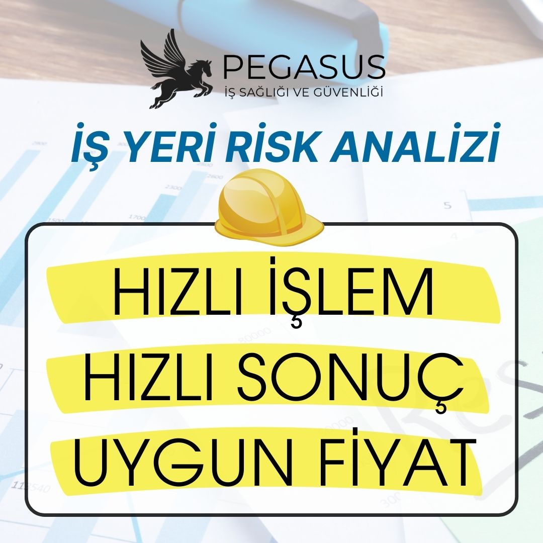 PEGASUS İSG İŞYERİ RİSK ANALİZİ